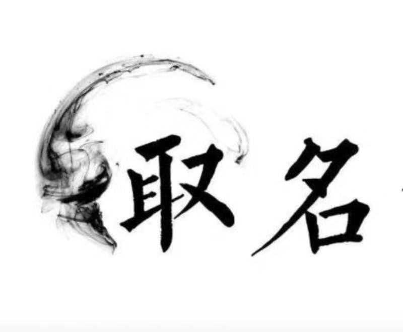  桂阳宝宝取名 大师一对一人工起名