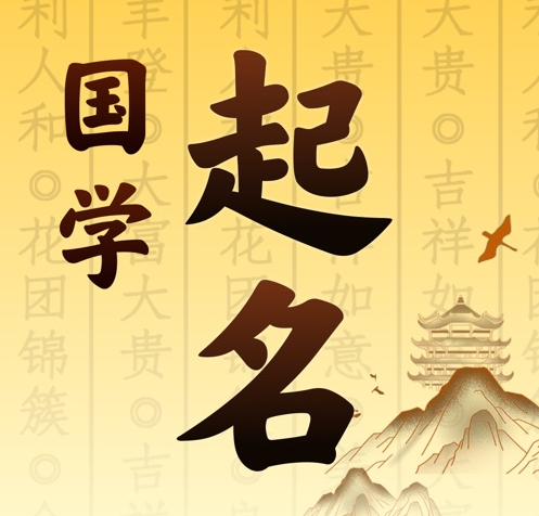 桂阳国学起名 人工起名一对一
